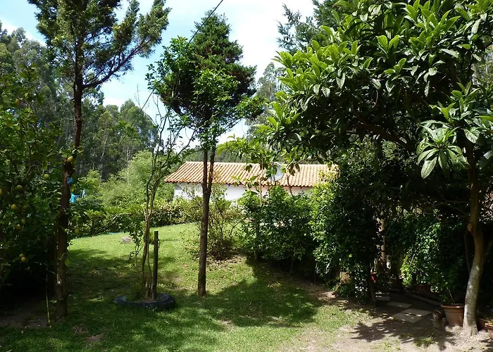 Dom wakacyjny Casa Da Azenha Branca Castelo Do Neiva