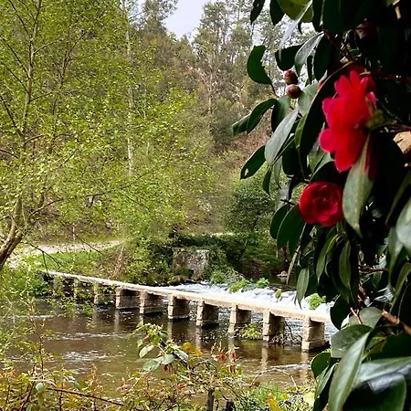 Casa Da Azenha Branca