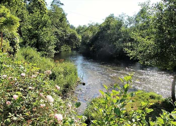 Сasa de vacaciones Casa Da Azenha Branca Castelo Do Neiva